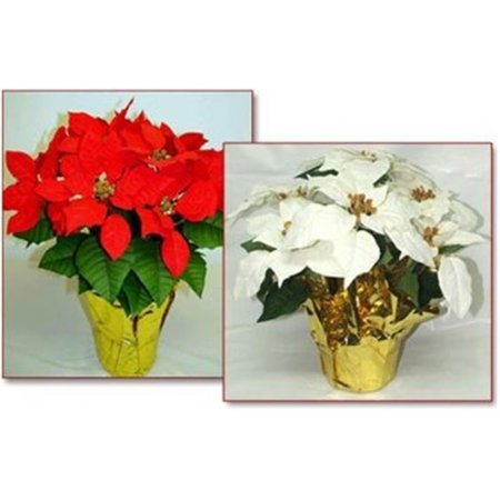 CREATIVE DISPLAYS 6 in pot Red Silk Poinsettias MIN 12 1676R